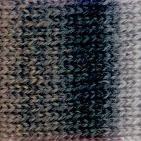 NIJI_254_Shades of Gray.webp